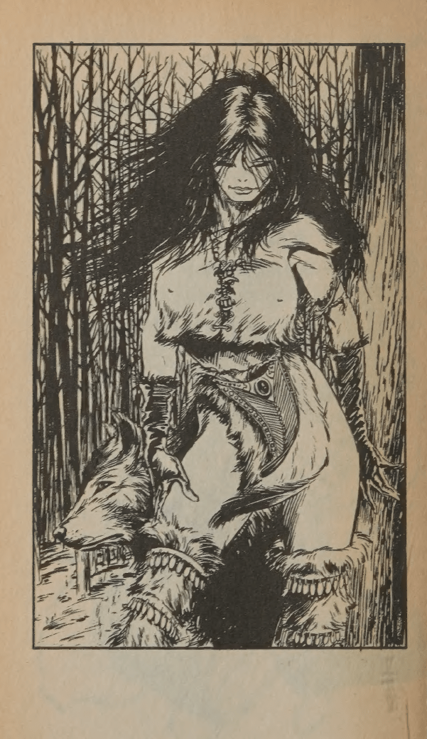 524.1. Bart Sears – Maps and Illustrations for Greyhawk Adventures #3: Master Wolf&nbsp;(1987)